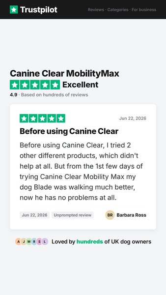 For the owner who has already tried everything