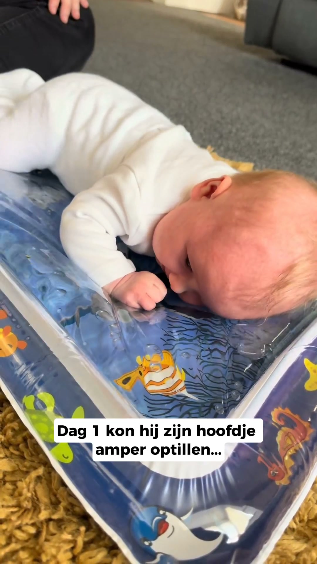 40% korting + Verzekerde Verzending