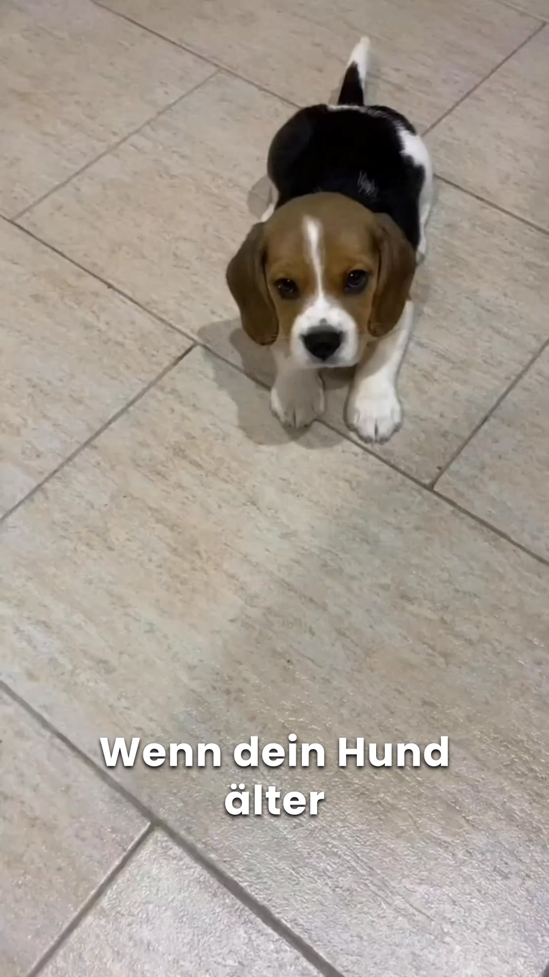 Du siehst es jeden Tag — und hoffst, dass es nicht schlimmer wird