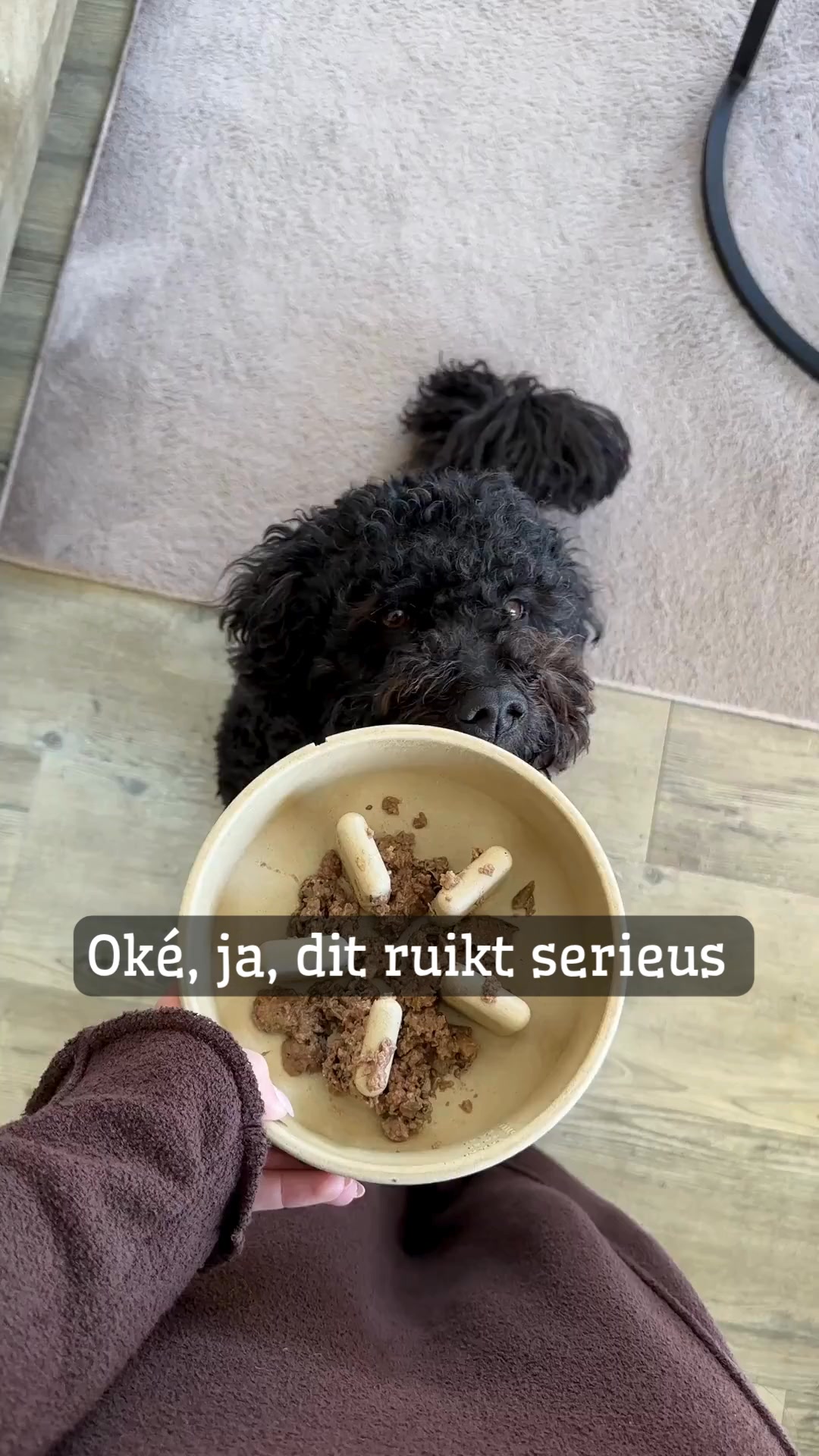 Ontdek de goodness