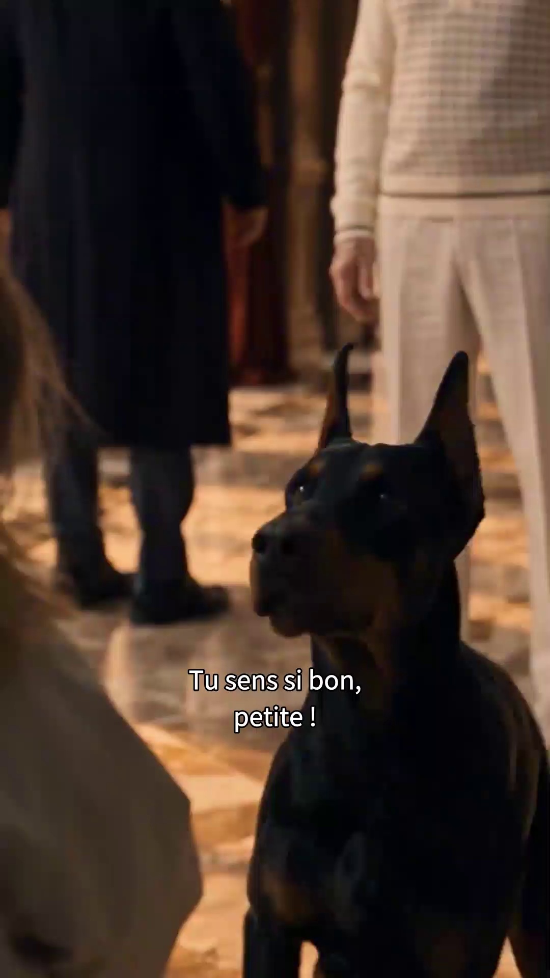 La Fille du Parrain Comprend le Langage des Animaux