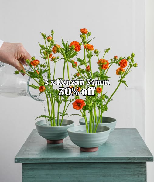 30% rabatt på 3-pack Blomsterfakir 34 mm