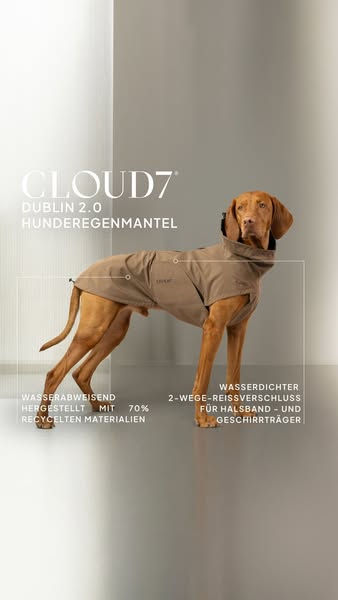 Wetterfest für jeden Hund