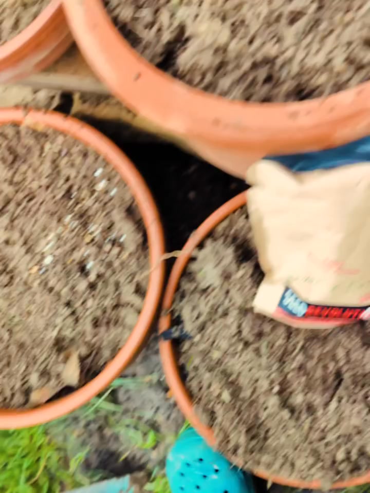 Turn Your Garden Wild