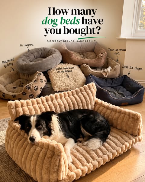 Different beds. Same result.