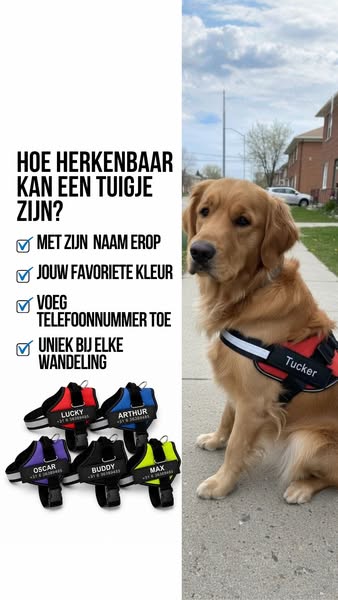 Voor 23:00 besteld, zelfde dag verzonden.