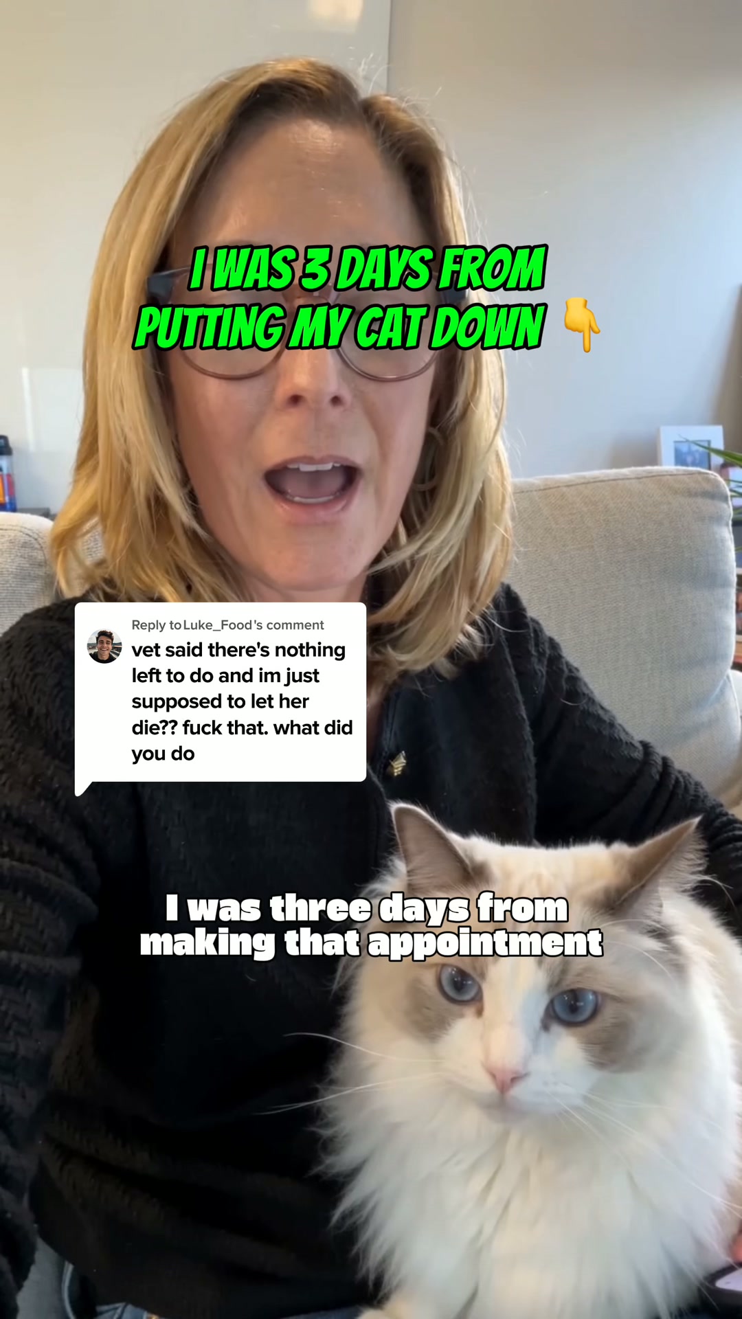 Every Test Came Back Normal. My Cat Was Dying Anyway.
