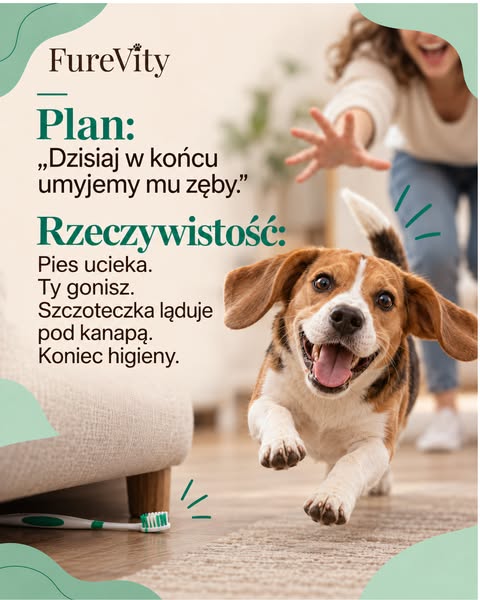 Zębów umyć sobie nie da