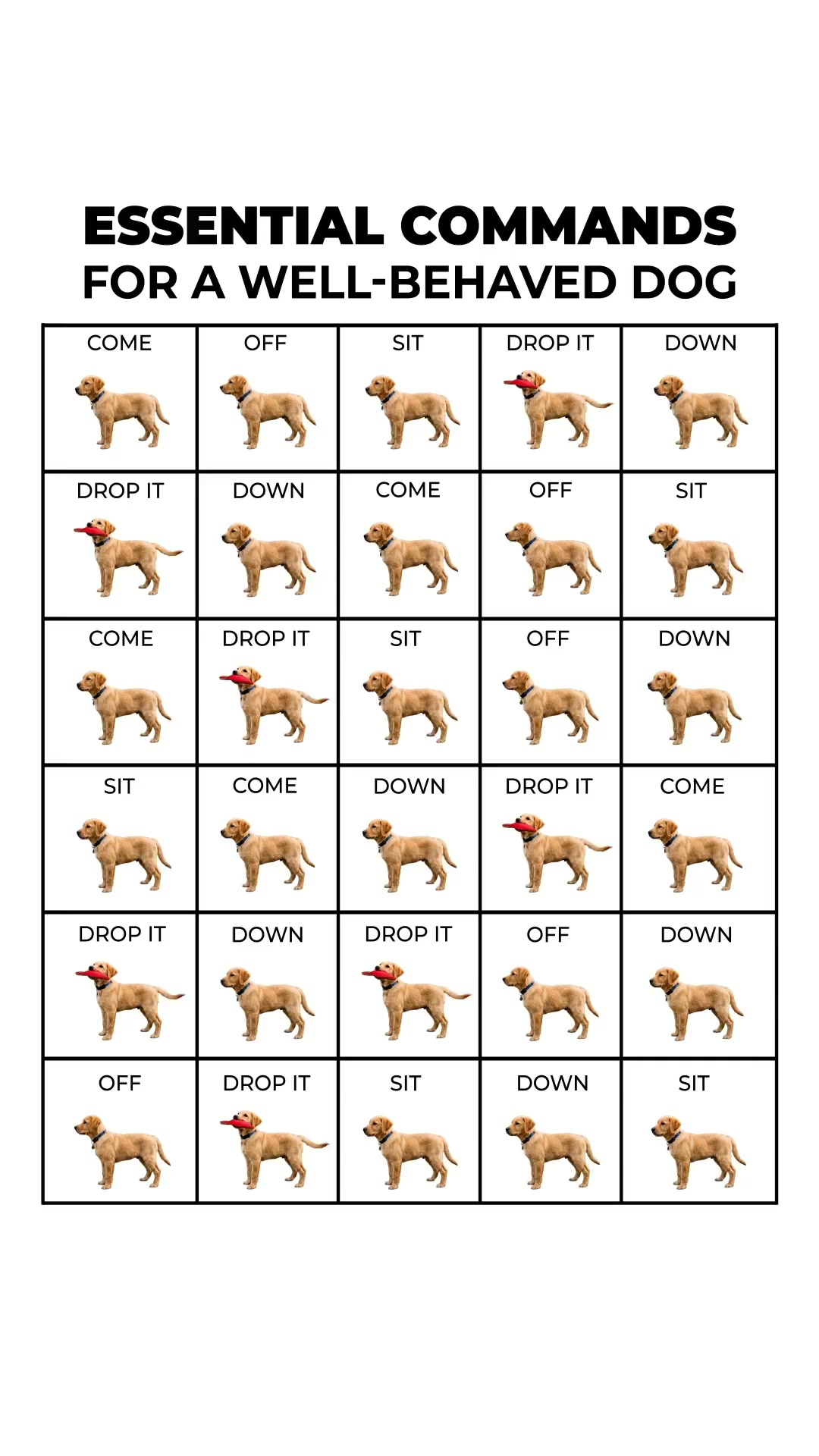 Professional Dog Training Made Simple