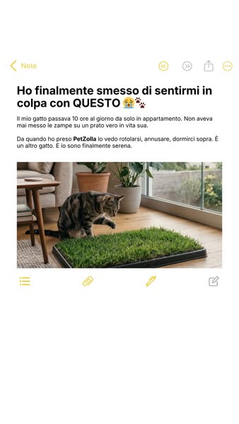 Il suo primo prato vero, in casa
