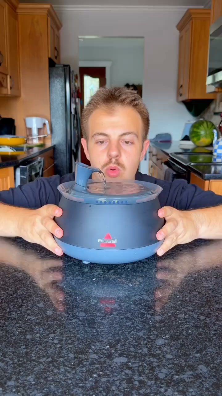 Filtered Circulating Pet Water Fountain