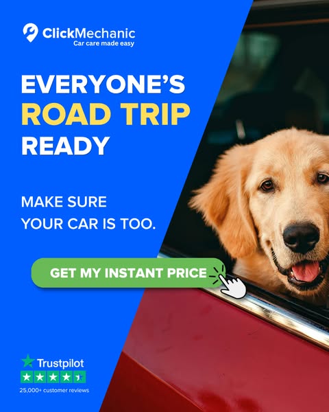 4.7 Trustpilot rating with over 24k+ reviews!