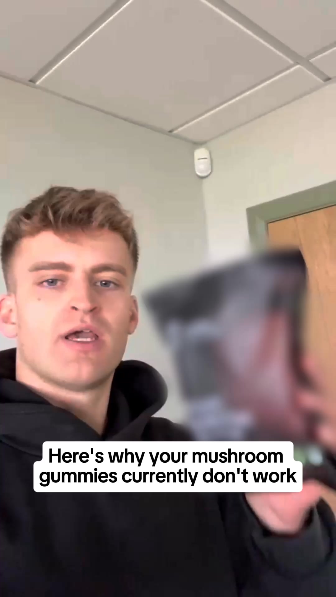 Mushroom Gummies That WORK