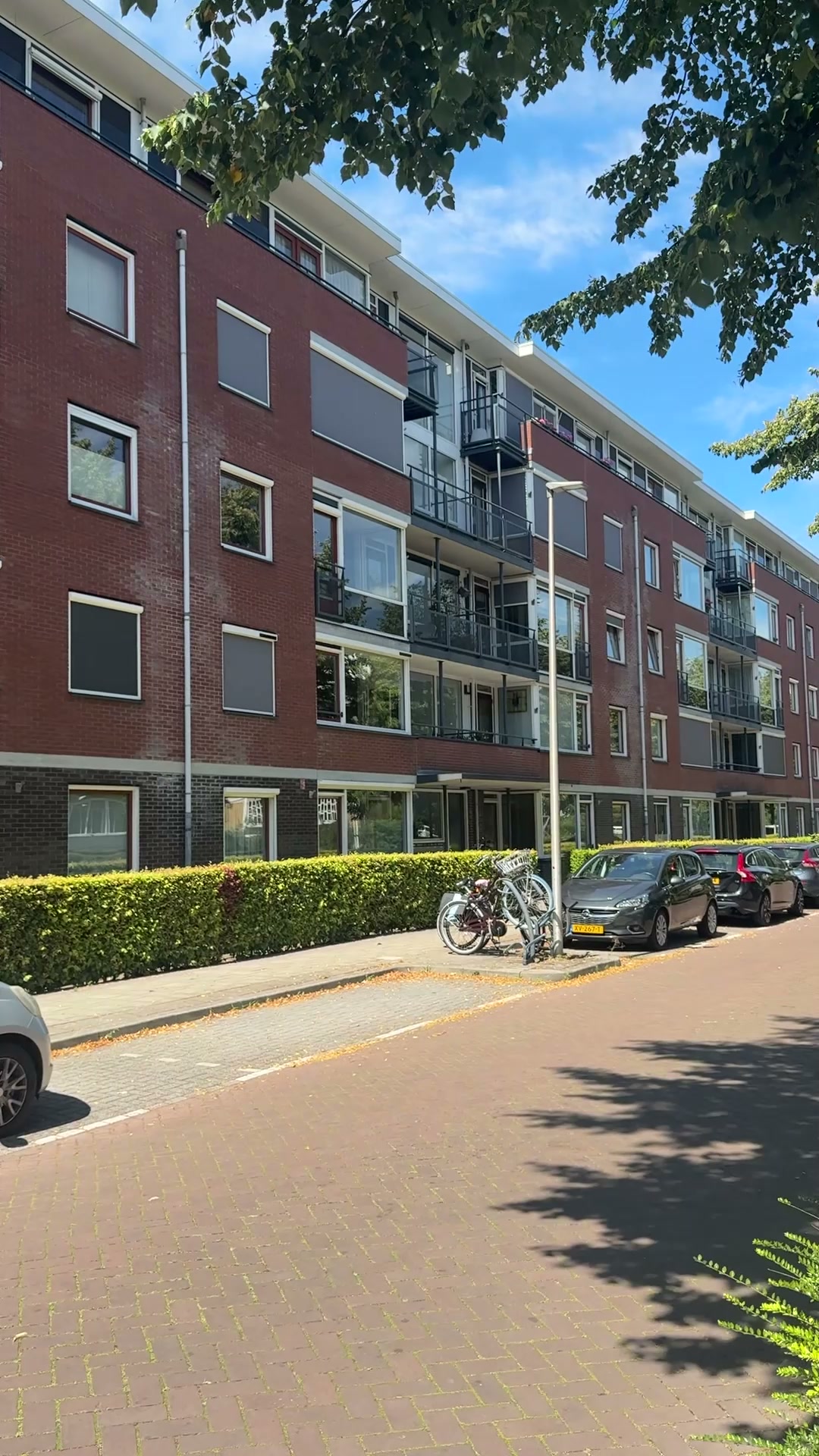Find your NEW RENTAL in no-time