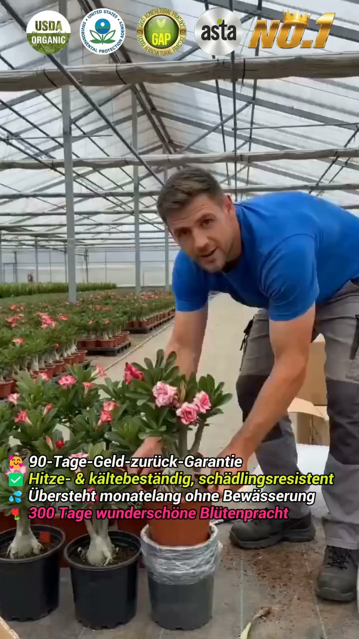 Jetzt bestellen und 50% sparen!