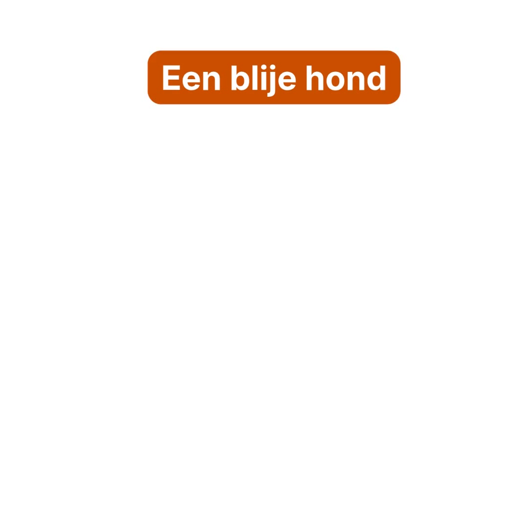 Een gelukkige hond. Een blije buik