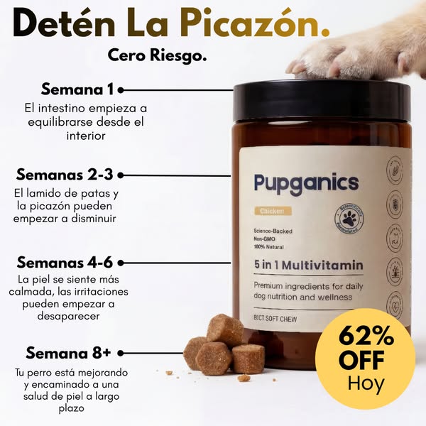 3 REGALOS GRATIS con tu compra