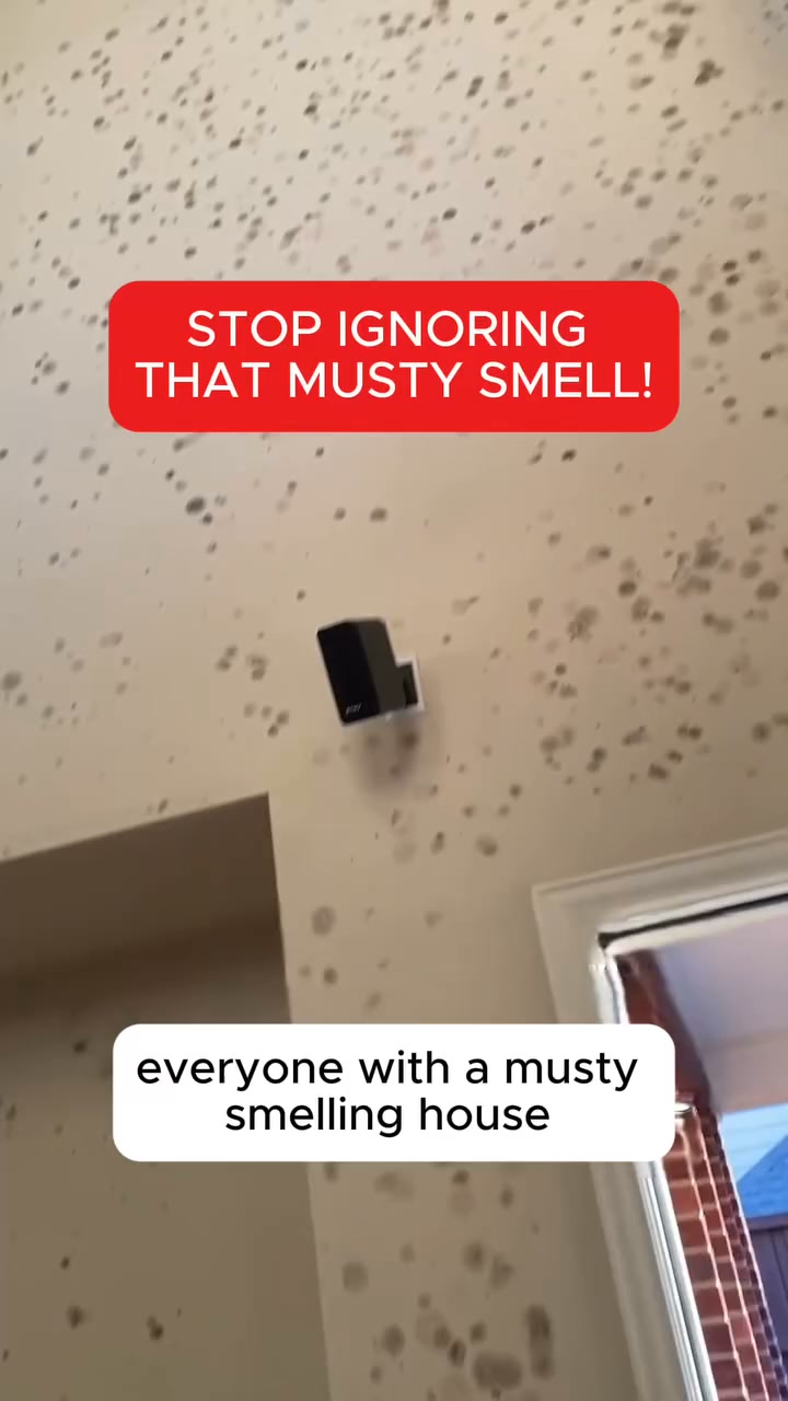 Mouldy Smell? Treat the Lingering Odor