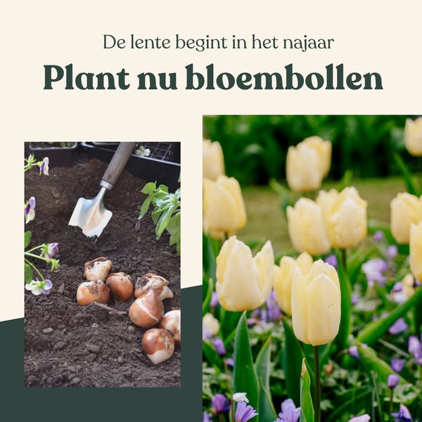 Het najaar is het nieuwe voorjaar