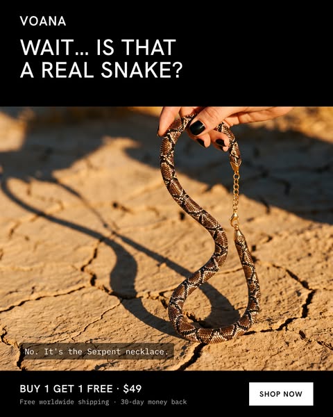 Wait… Is That a Real Snake?