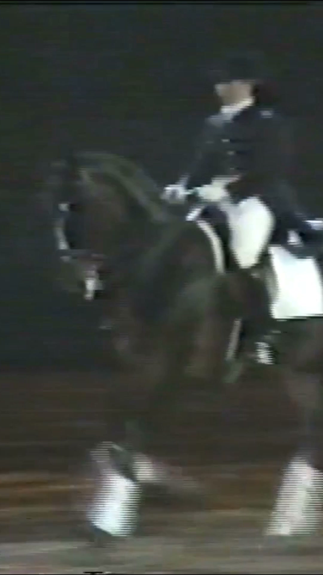 Fix Your Horse's Balance Issues Forever