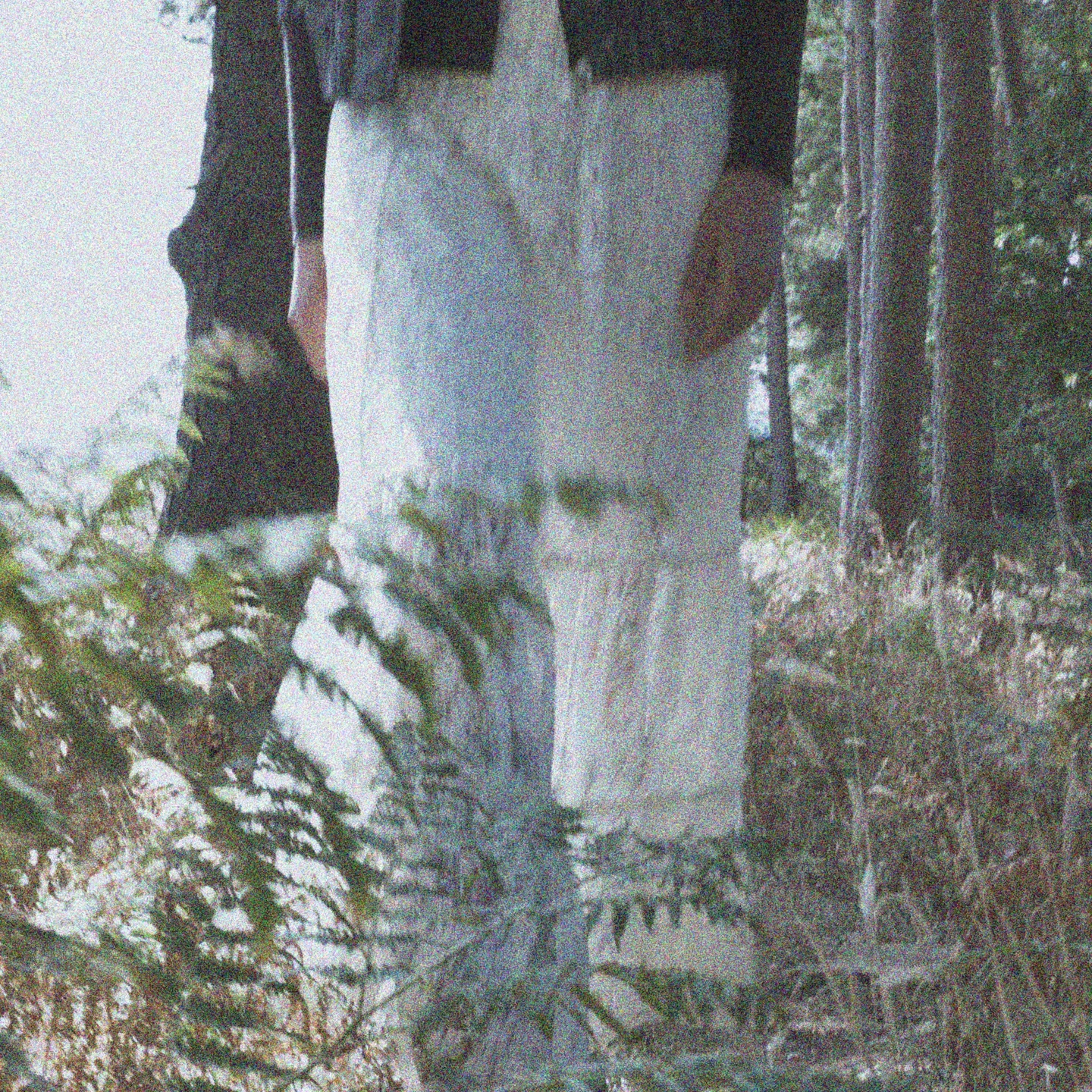 Apricot Clothing