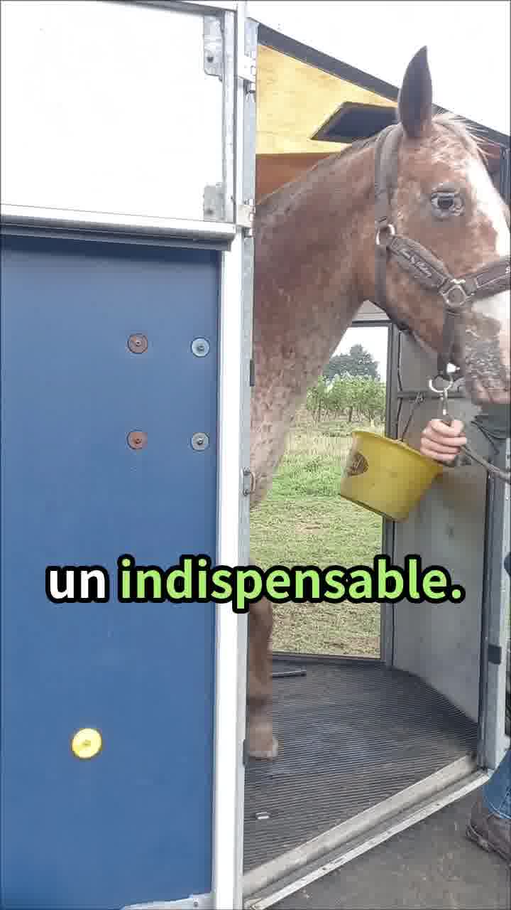 Retour à la maison