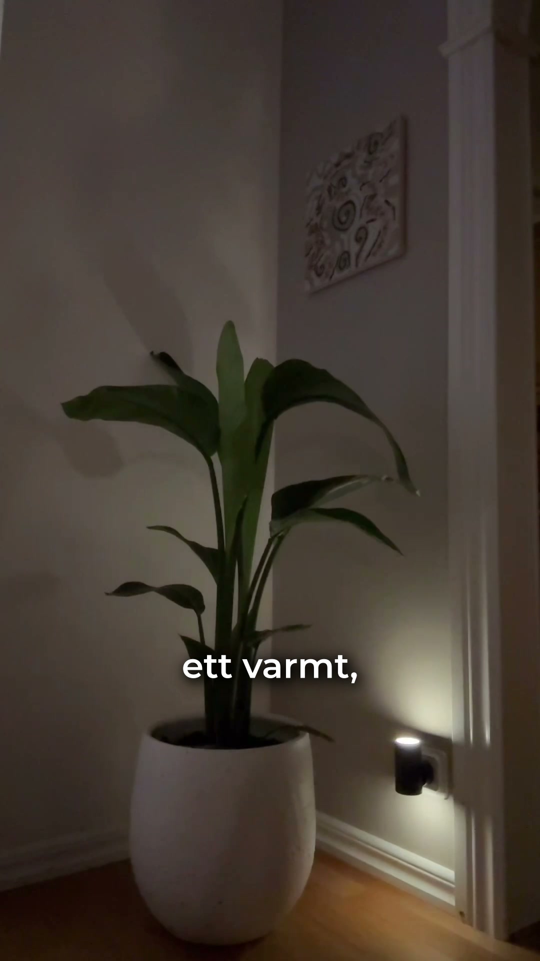 Lampan som tänds själv – varje kväll
