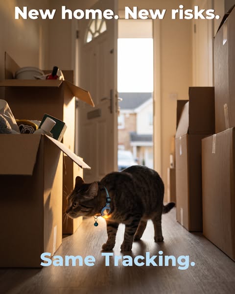 New home. New risks. Same tracking.