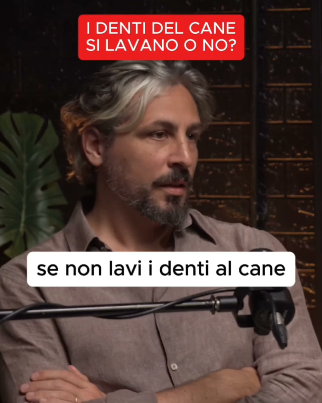 Proteggi il sorriso del tuo cane