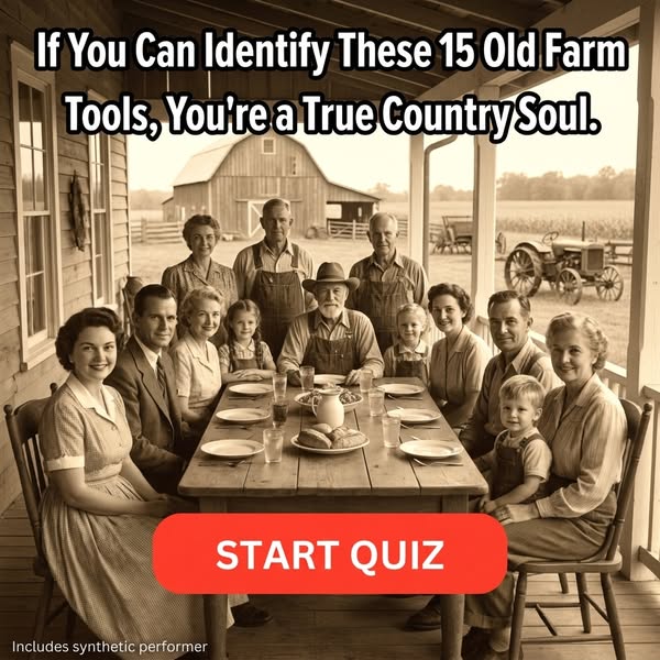 Old Farm Life