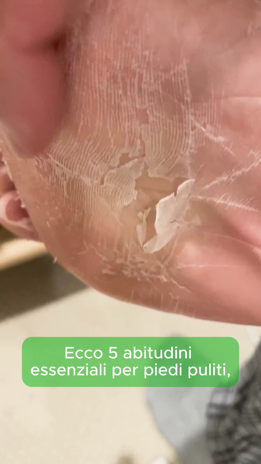 8 + 8 Paia in Omaggio
