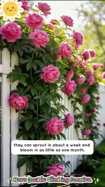 That Bloom Bigger & Brighter That Bring Every Garden to Life!