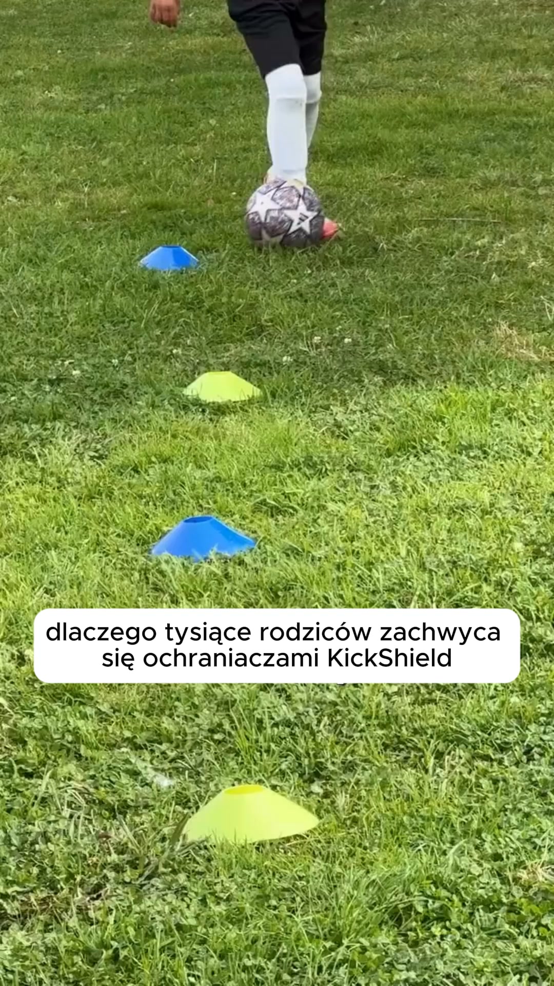 KickShield