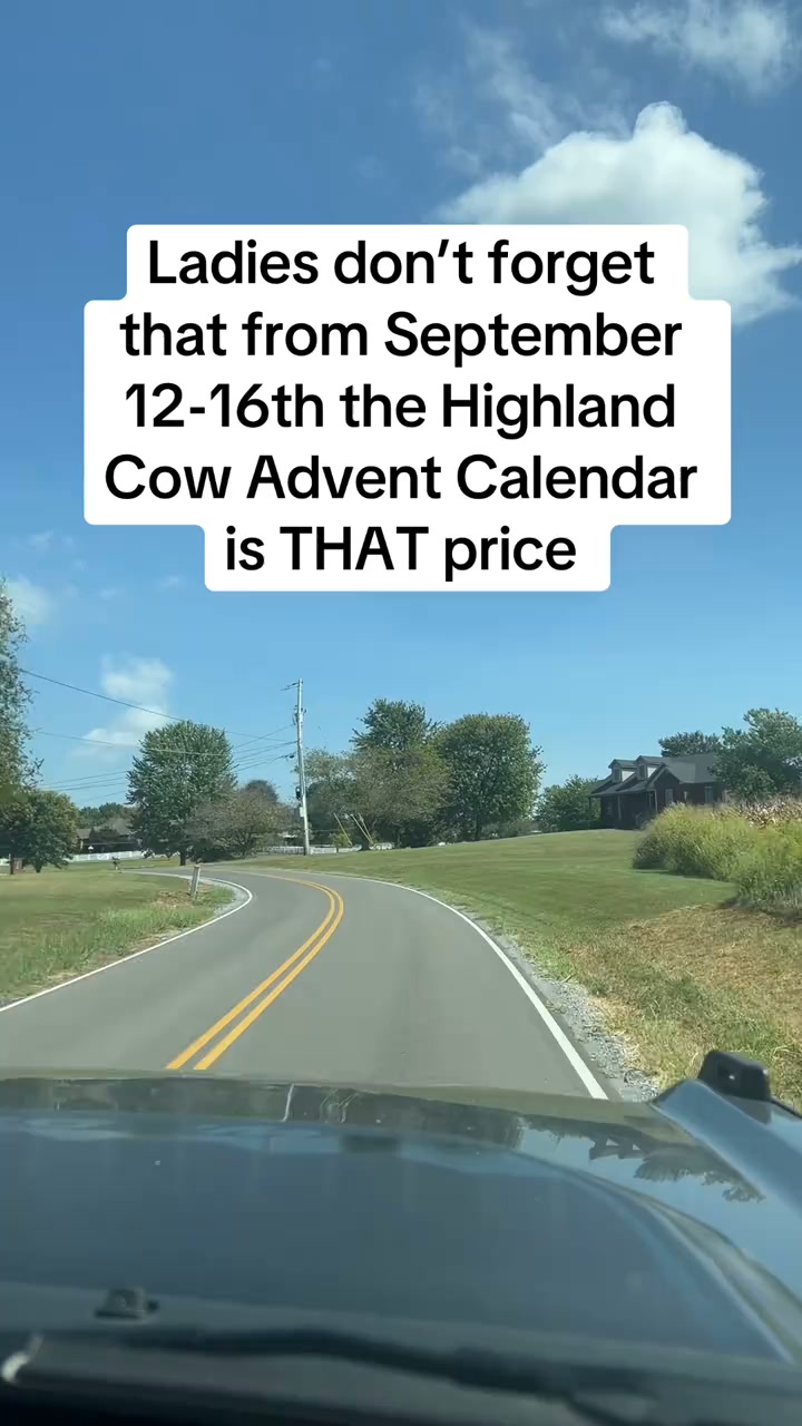 24 Days of Highland Cow Magic Advent Calendar