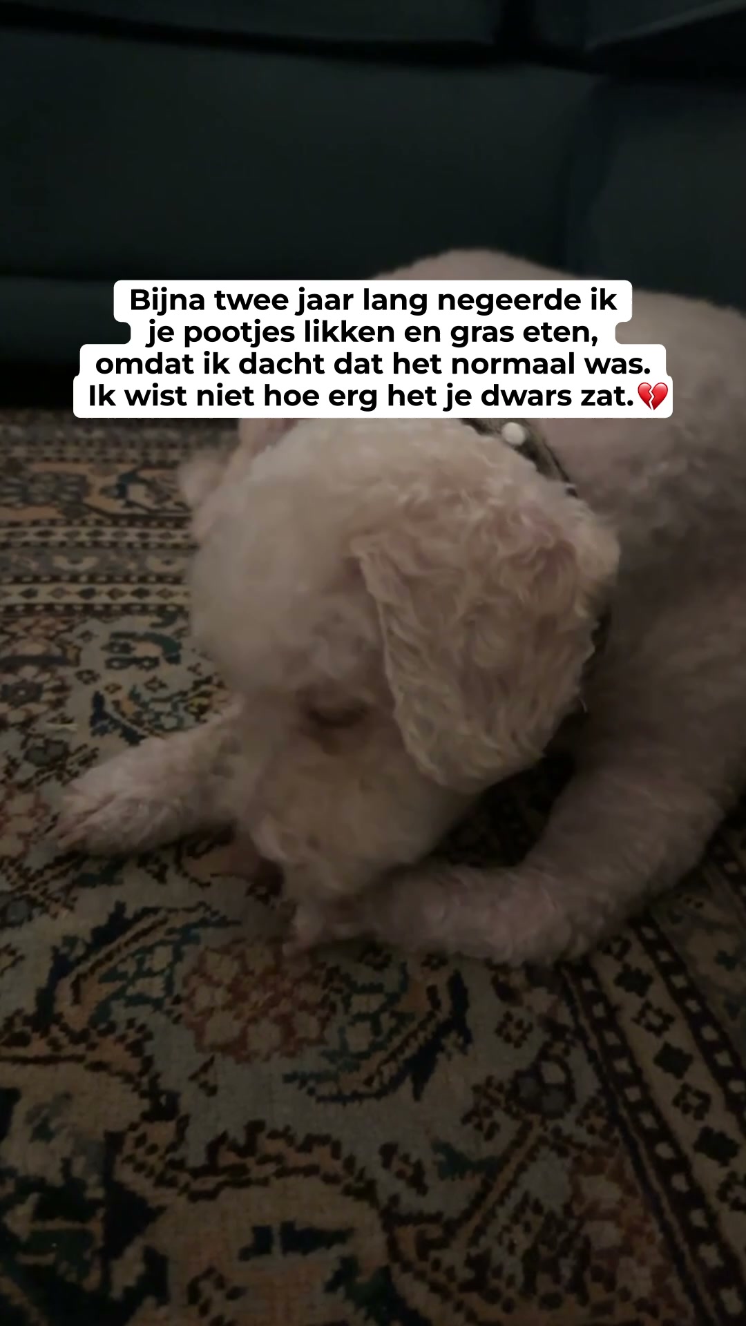 Waar jeuk echt vandaan komt (en wat je ertegen doet)