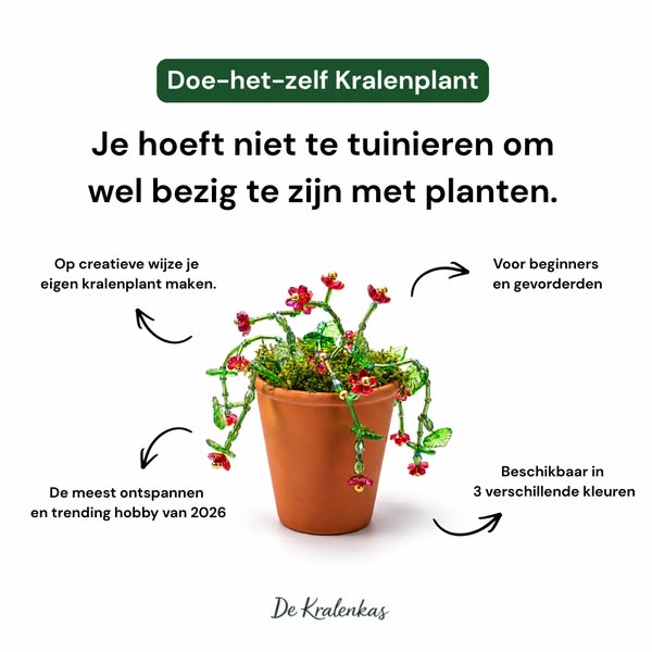 Maak je eigen kralenplant