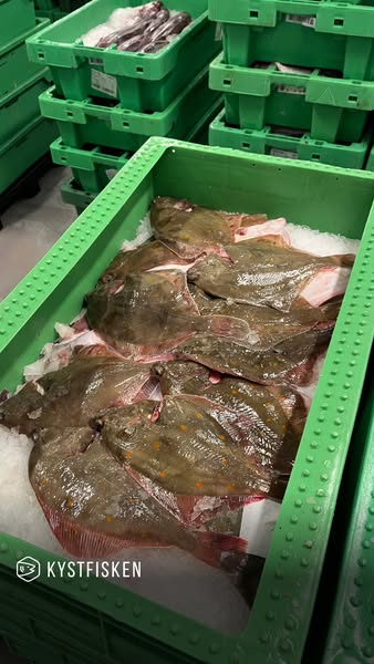 Friskfanget, lokal fisk