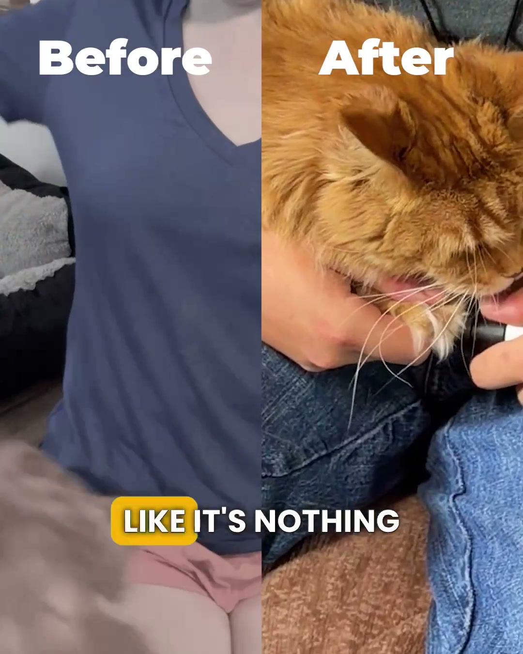 Stress-Free Nail Grooming for Your Cat!