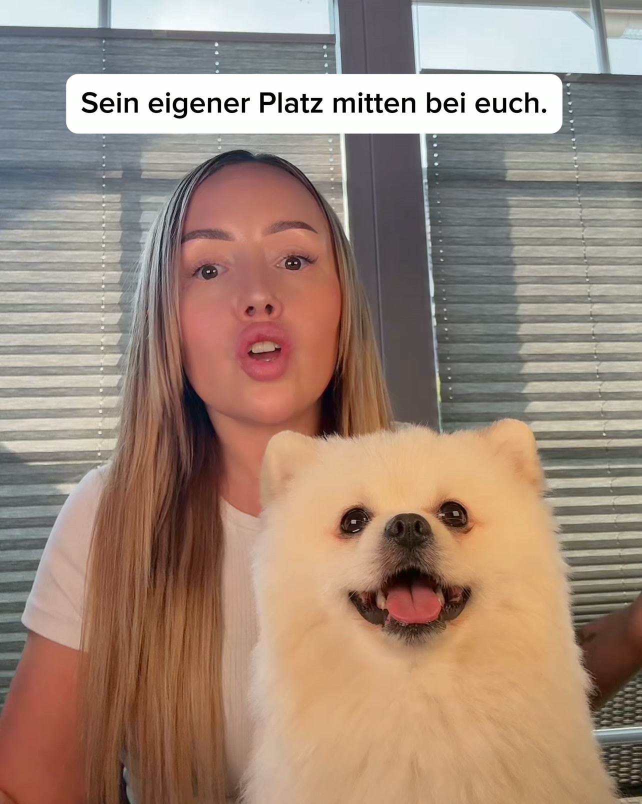 Jetzt 50 % reduziert · 30 Tage risikofrei testen