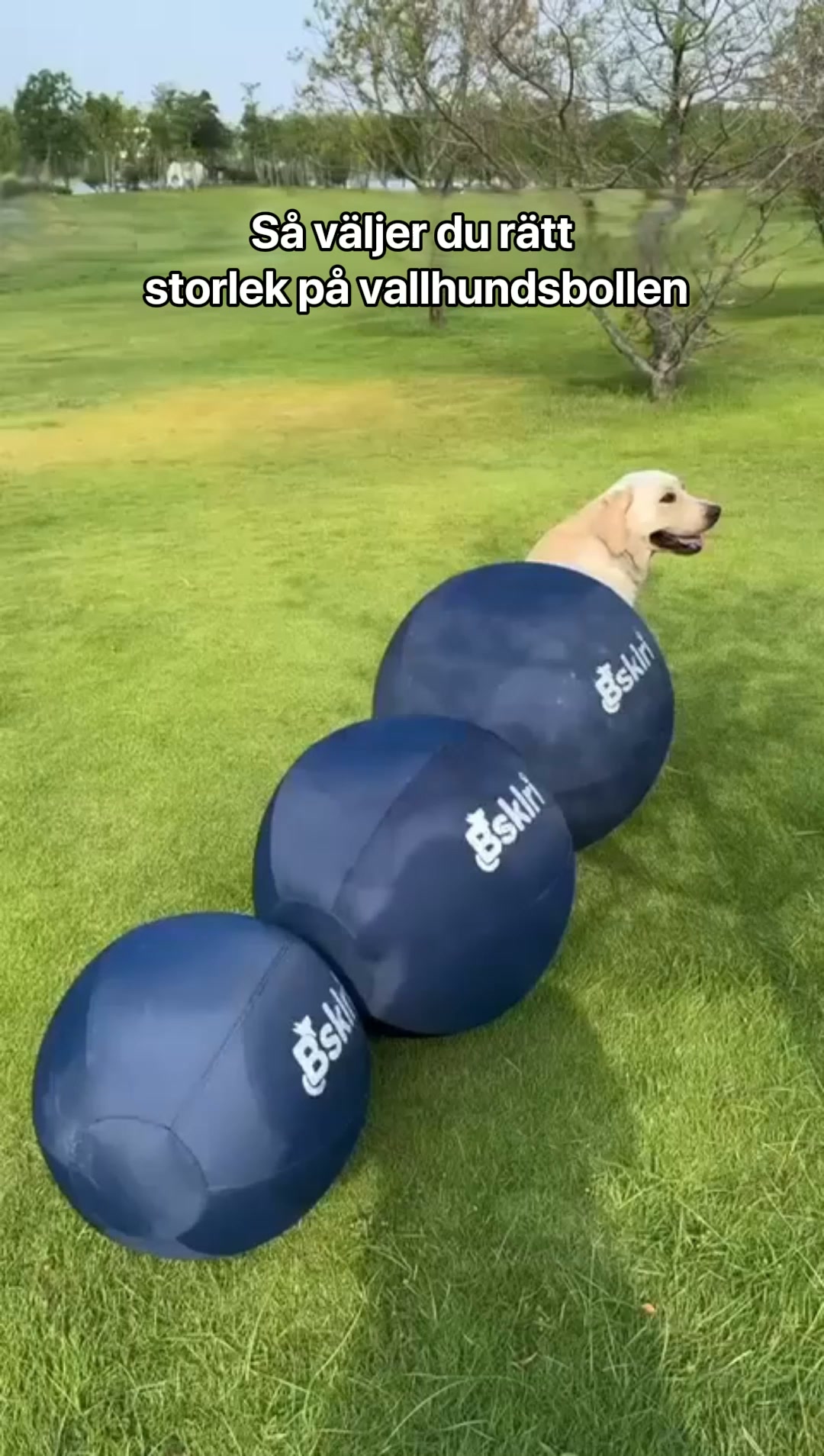 #1 Interaktiv Boll