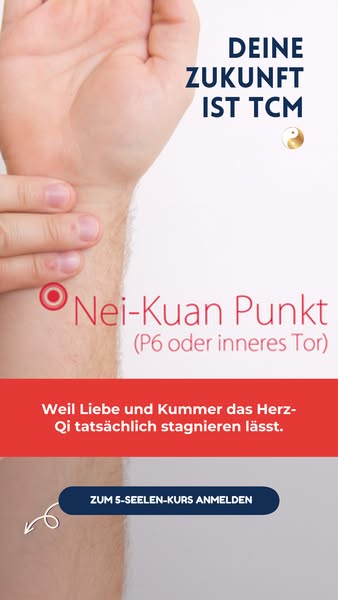 [NUR JETZT FÜR 49€] 5-Seelen-Kurs TCM