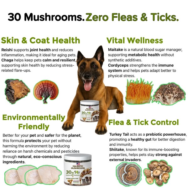 CANCER HATES MUSHROOMS