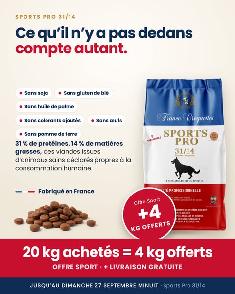 Formulé pour les chiens actifs