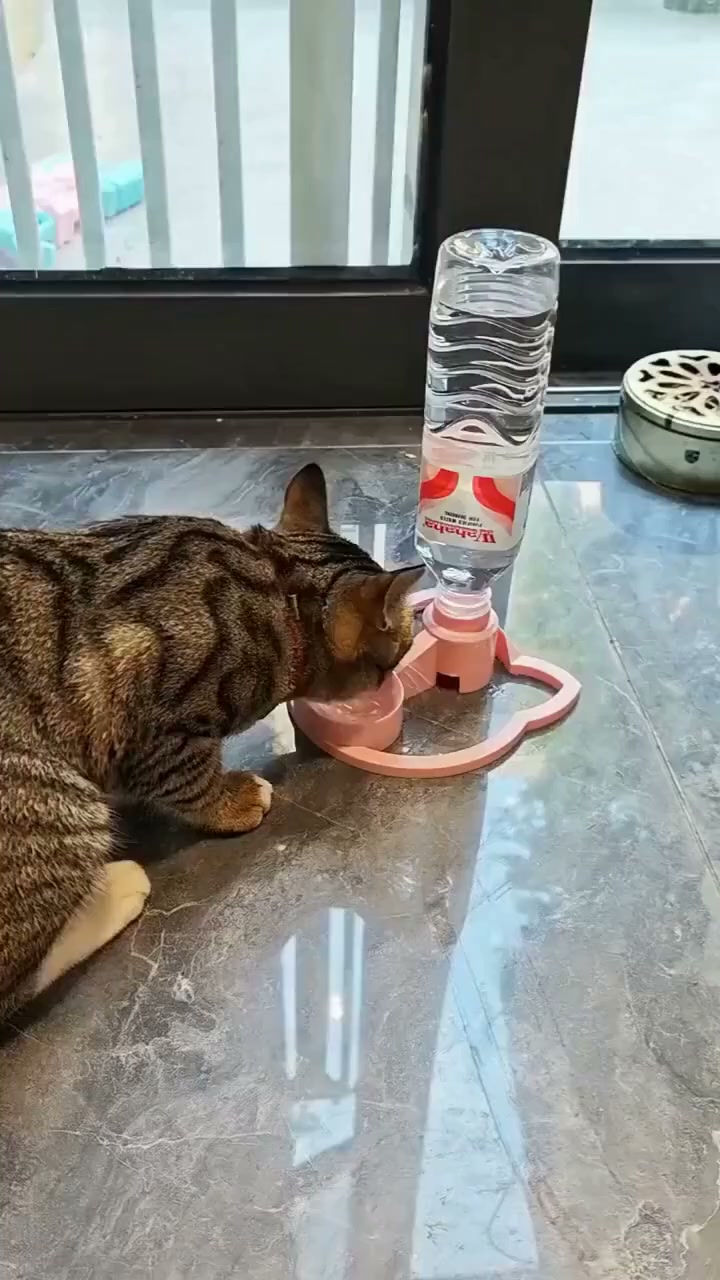 Dispensatore d'acqua per animali a gravità
