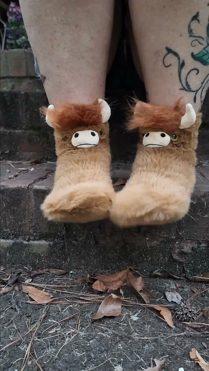 Highland Cow Coziness—New Customers Get 10% OFF with Code NEW10