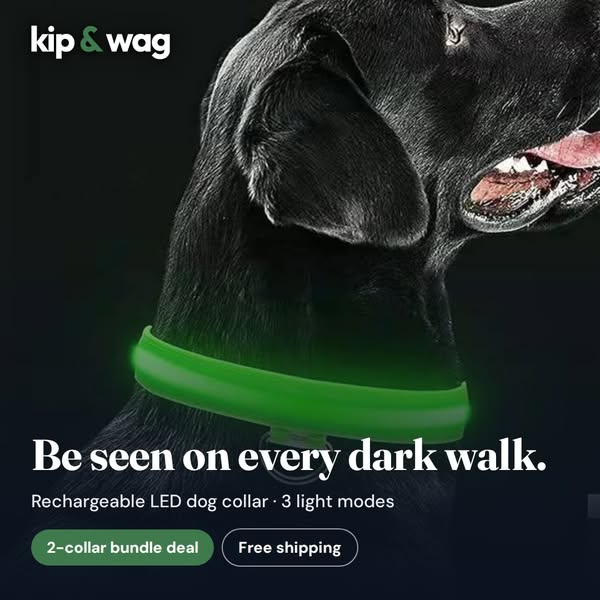 Be Seen on Every Dark Walk