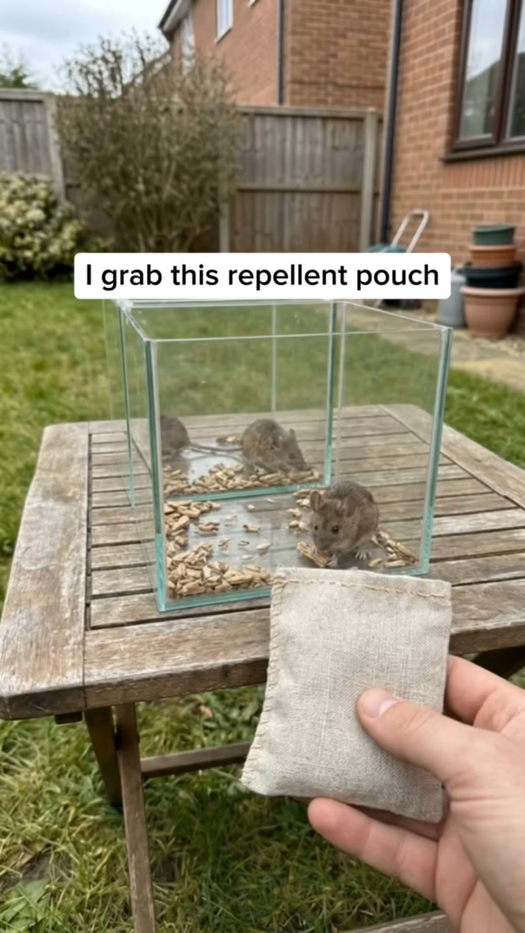 One Pouch. No More Mice.
