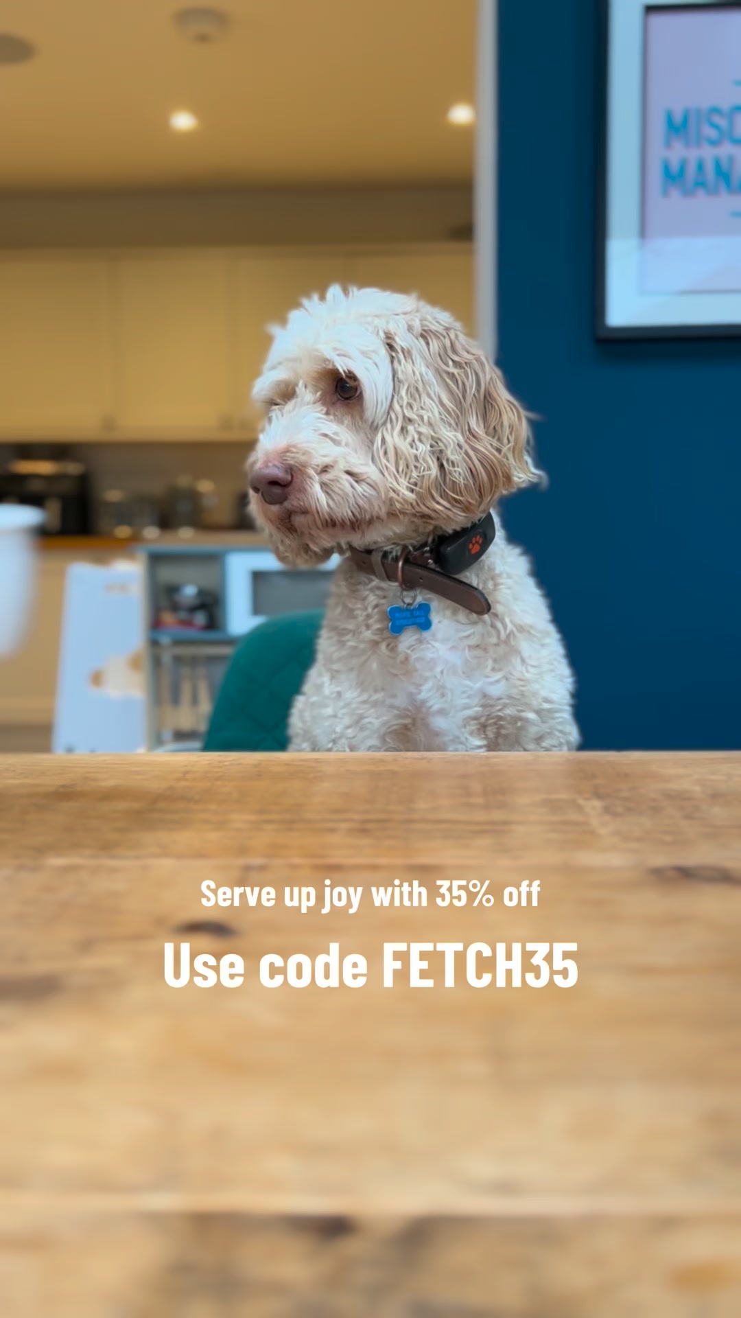 35% Off Everything