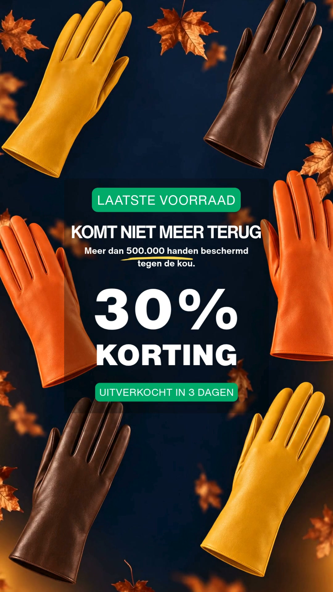 Premium Leren Handschoenen